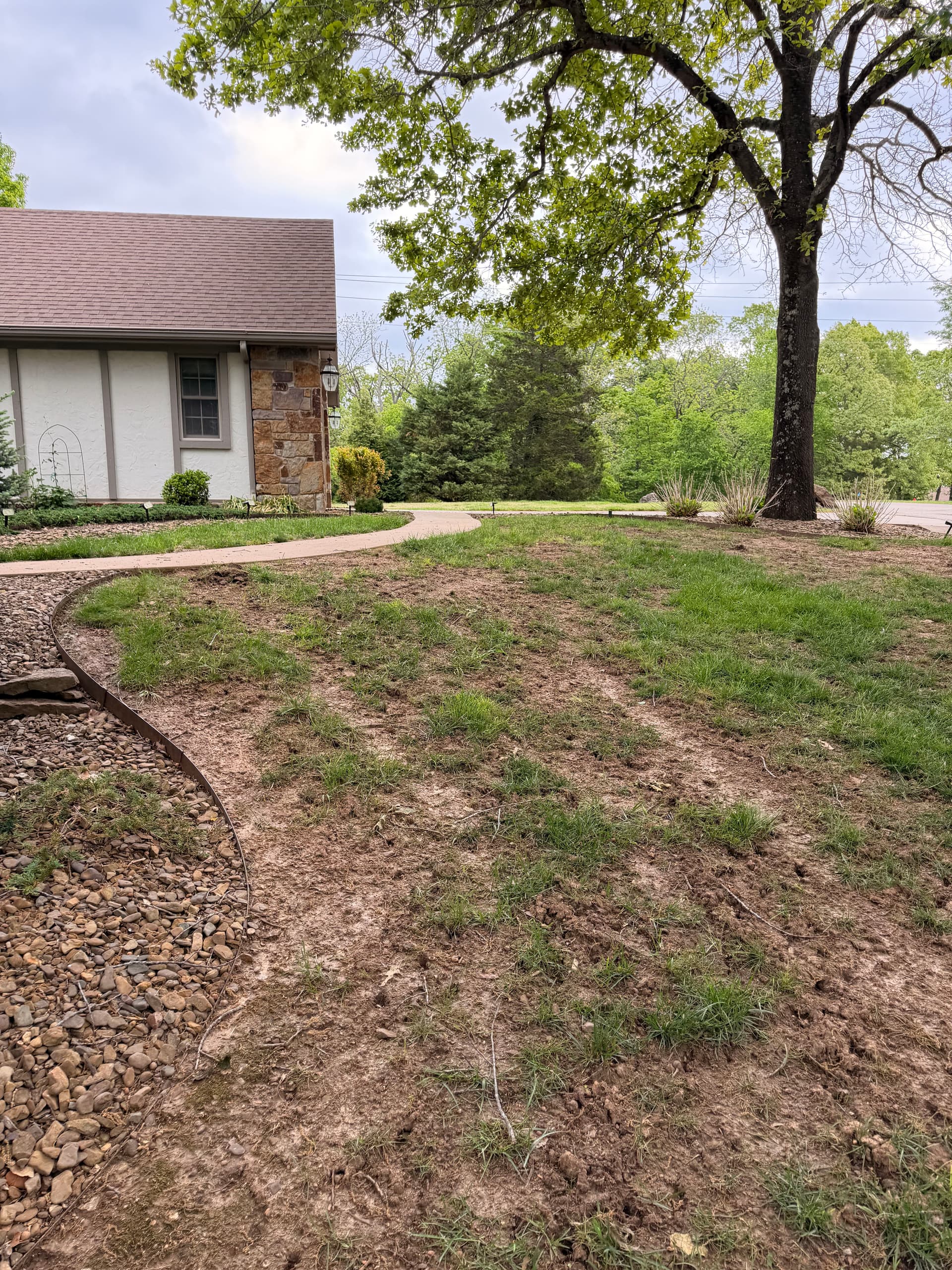 Gallery photos for Bare Dirt to Fresh Fescue Sod With Full Ground Prep: Image #3