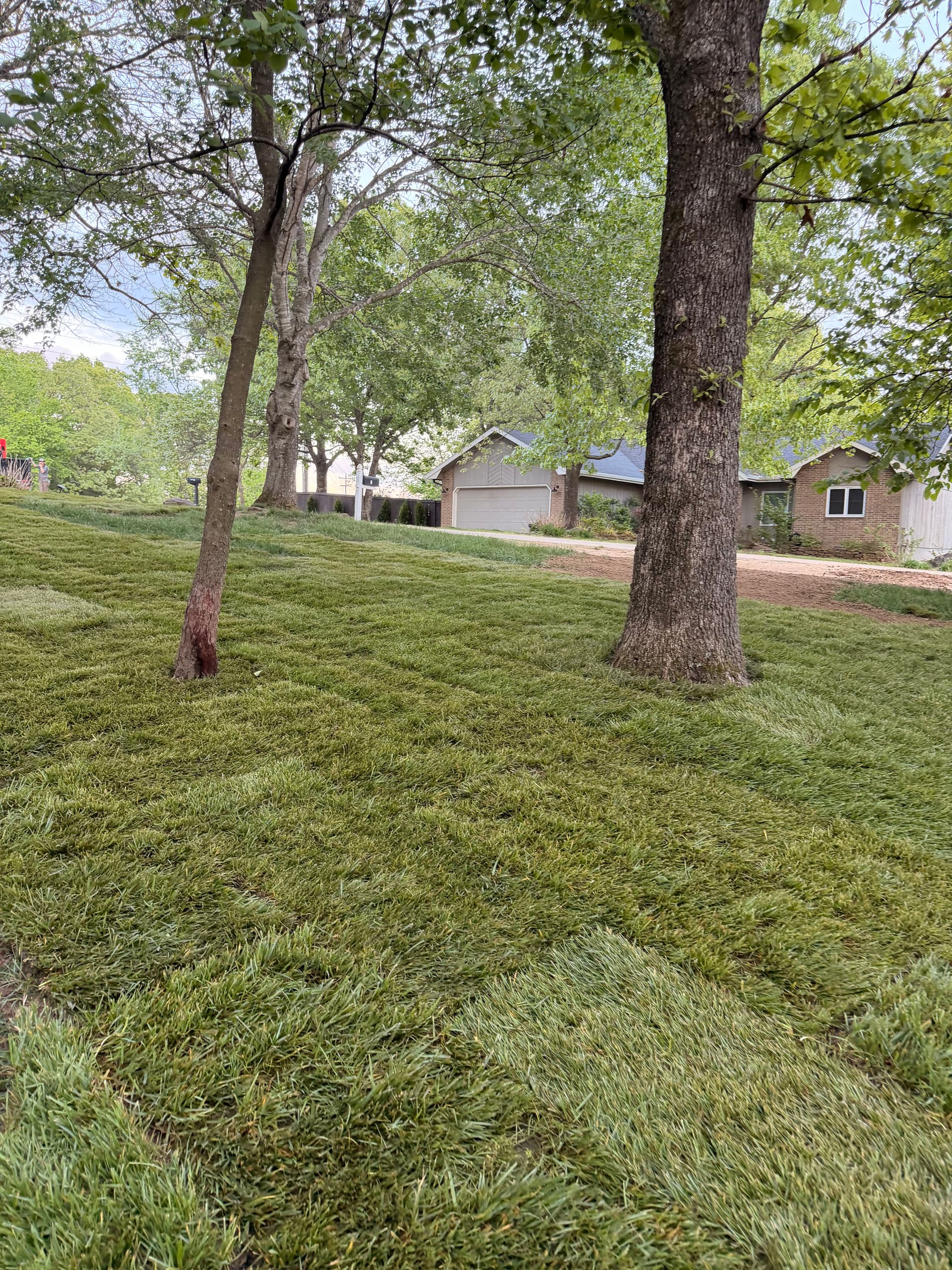 Gallery photos for Bare Dirt to Fresh Fescue Sod With Full Ground Prep: Image #6