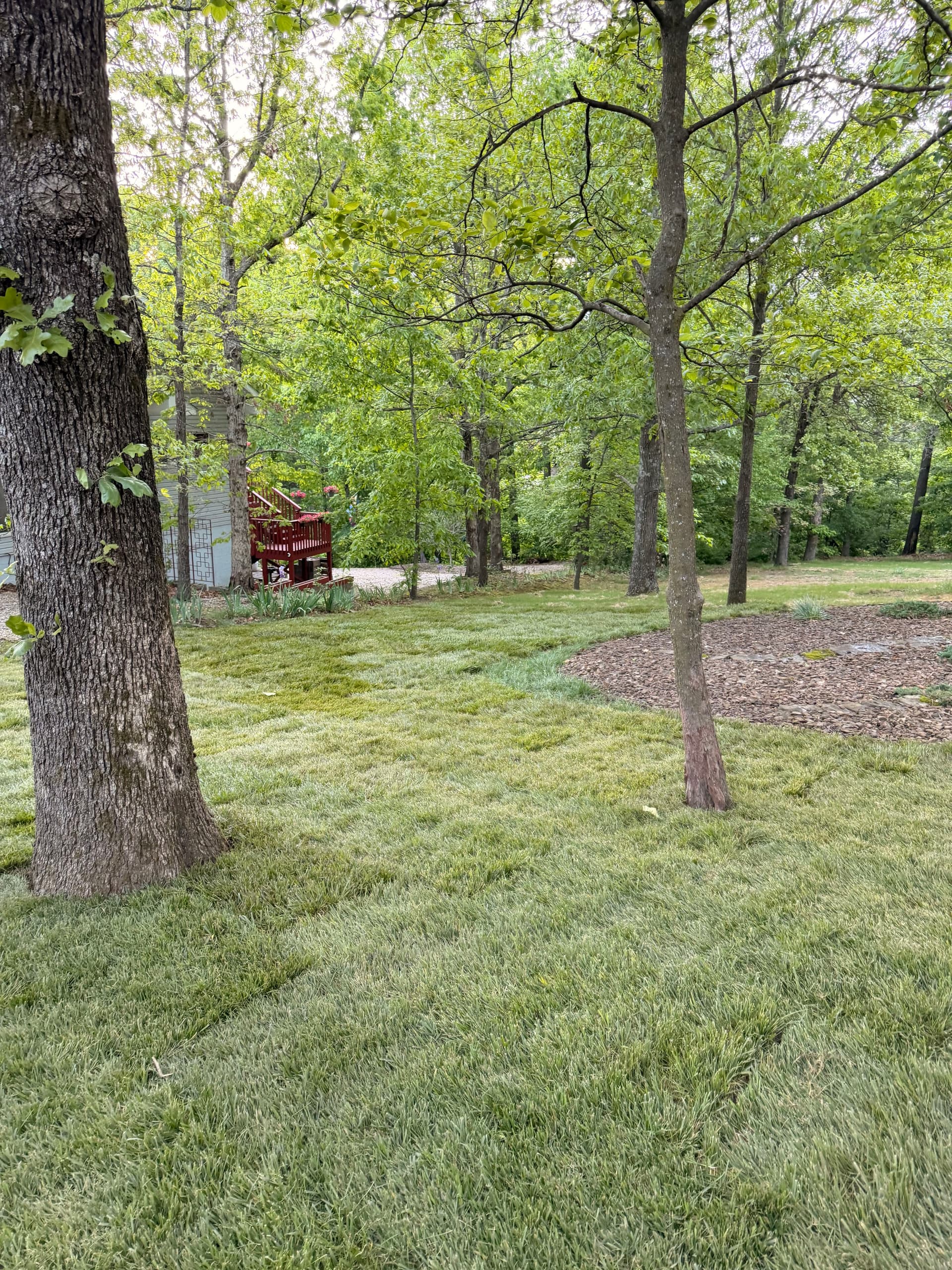 Gallery photos for Bare Dirt to Fresh Fescue Sod With Full Ground Prep: Image #4