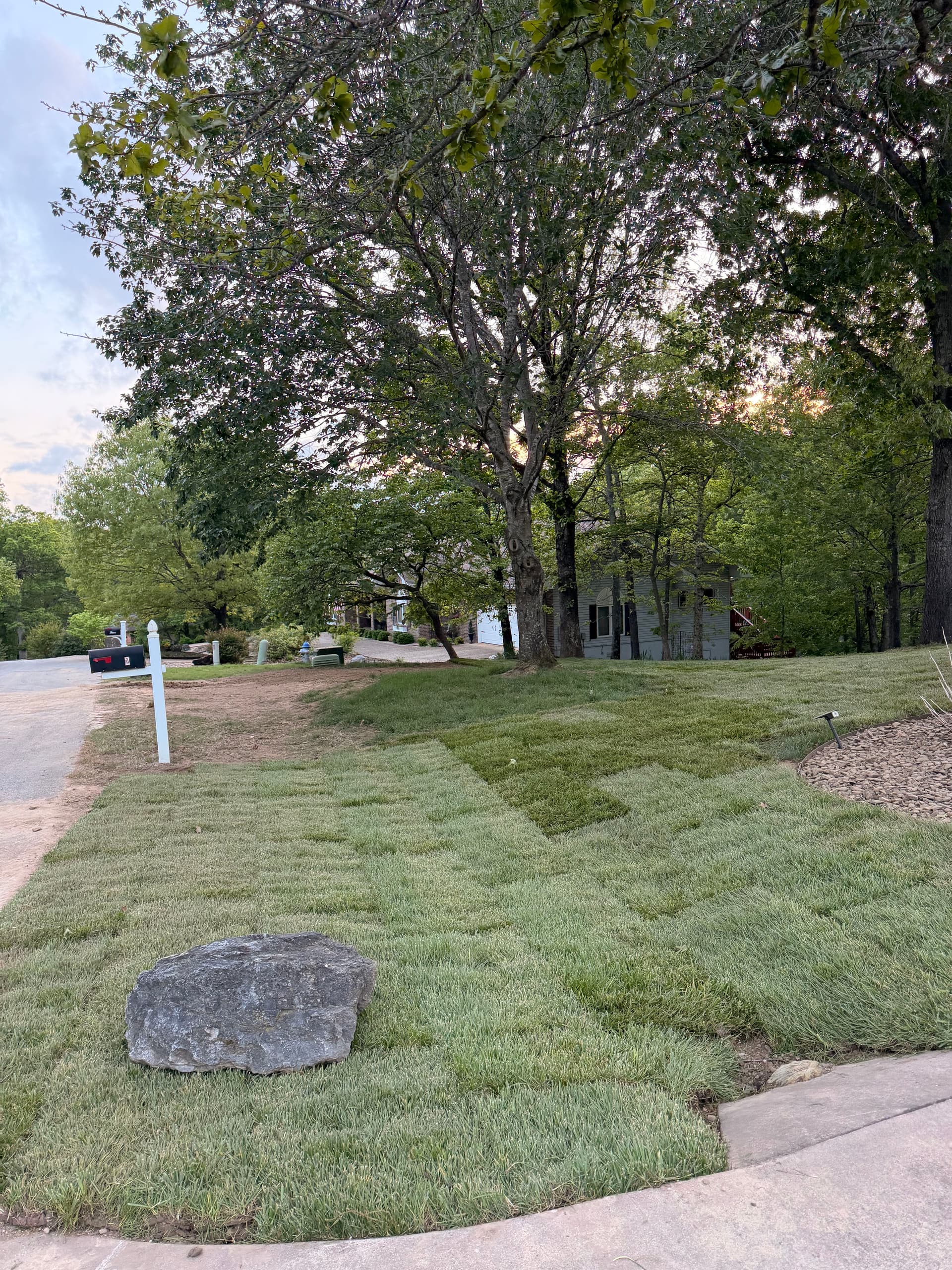 Gallery photos for Bare Dirt to Fresh Fescue Sod With Full Ground Prep: Image #8