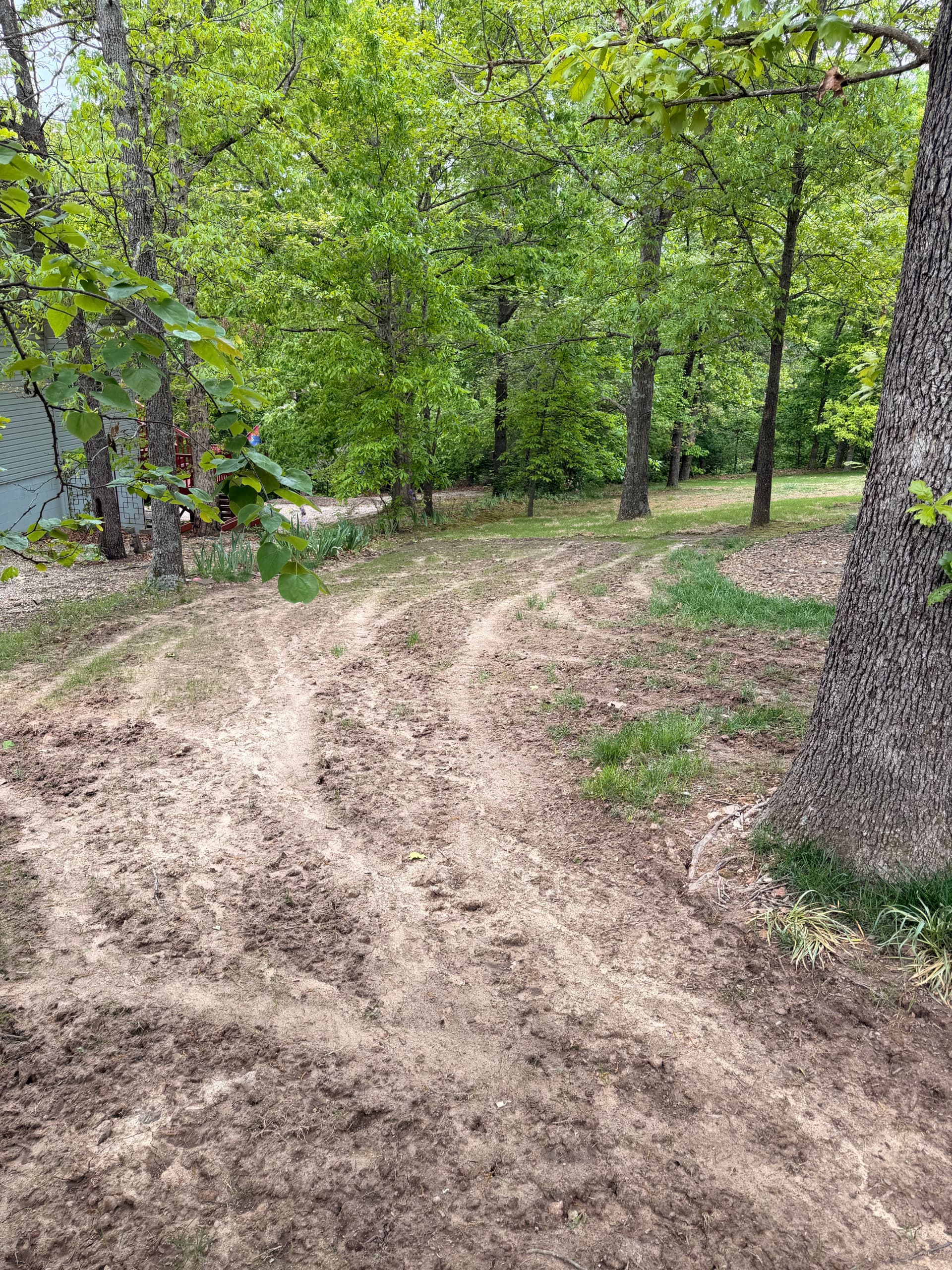 Bare Dirt to Fresh Fescue Sod With Full Ground Prep image