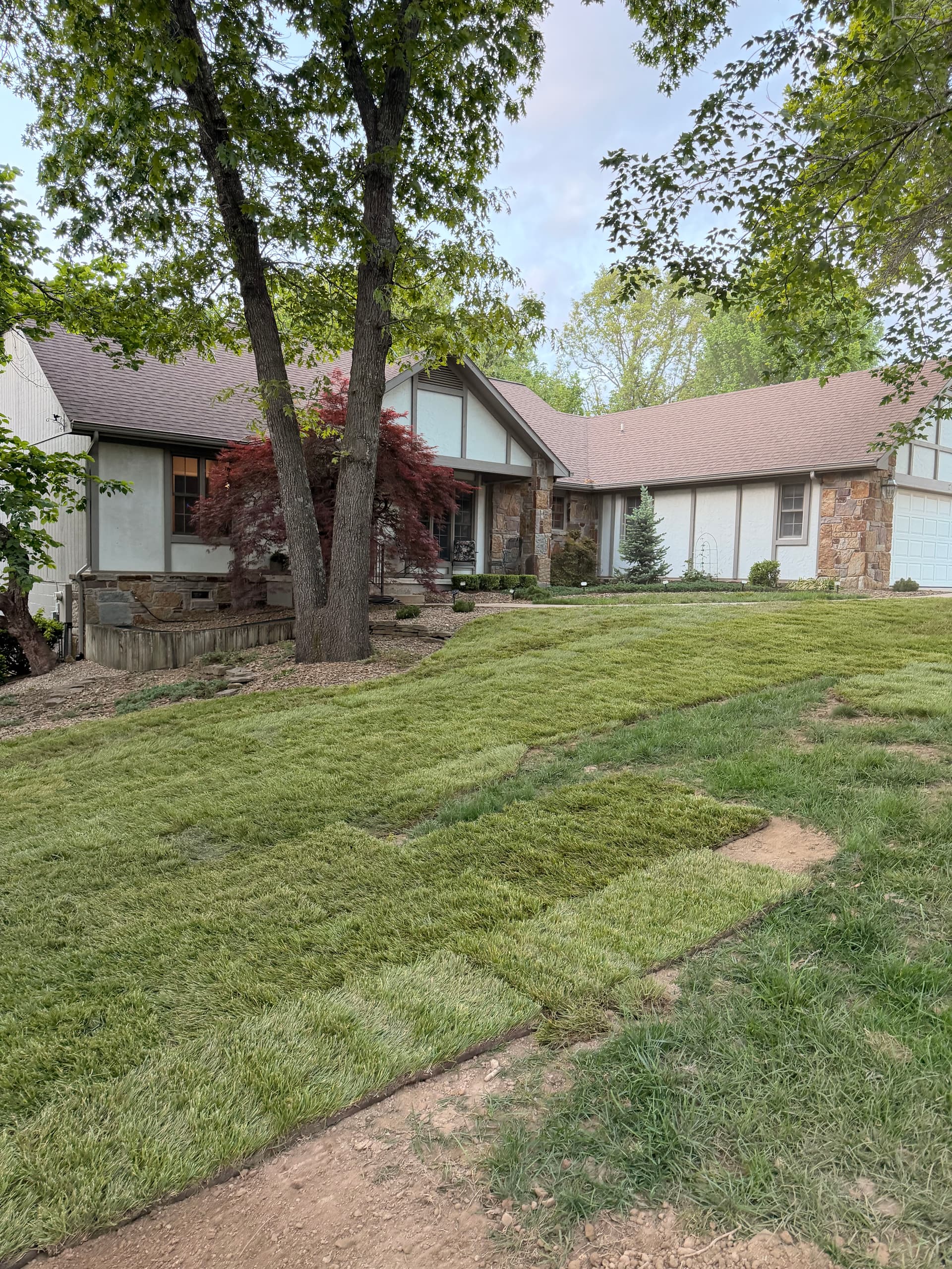 Gallery photos for Bare Dirt to Fresh Fescue Sod With Full Ground Prep: Image #5
