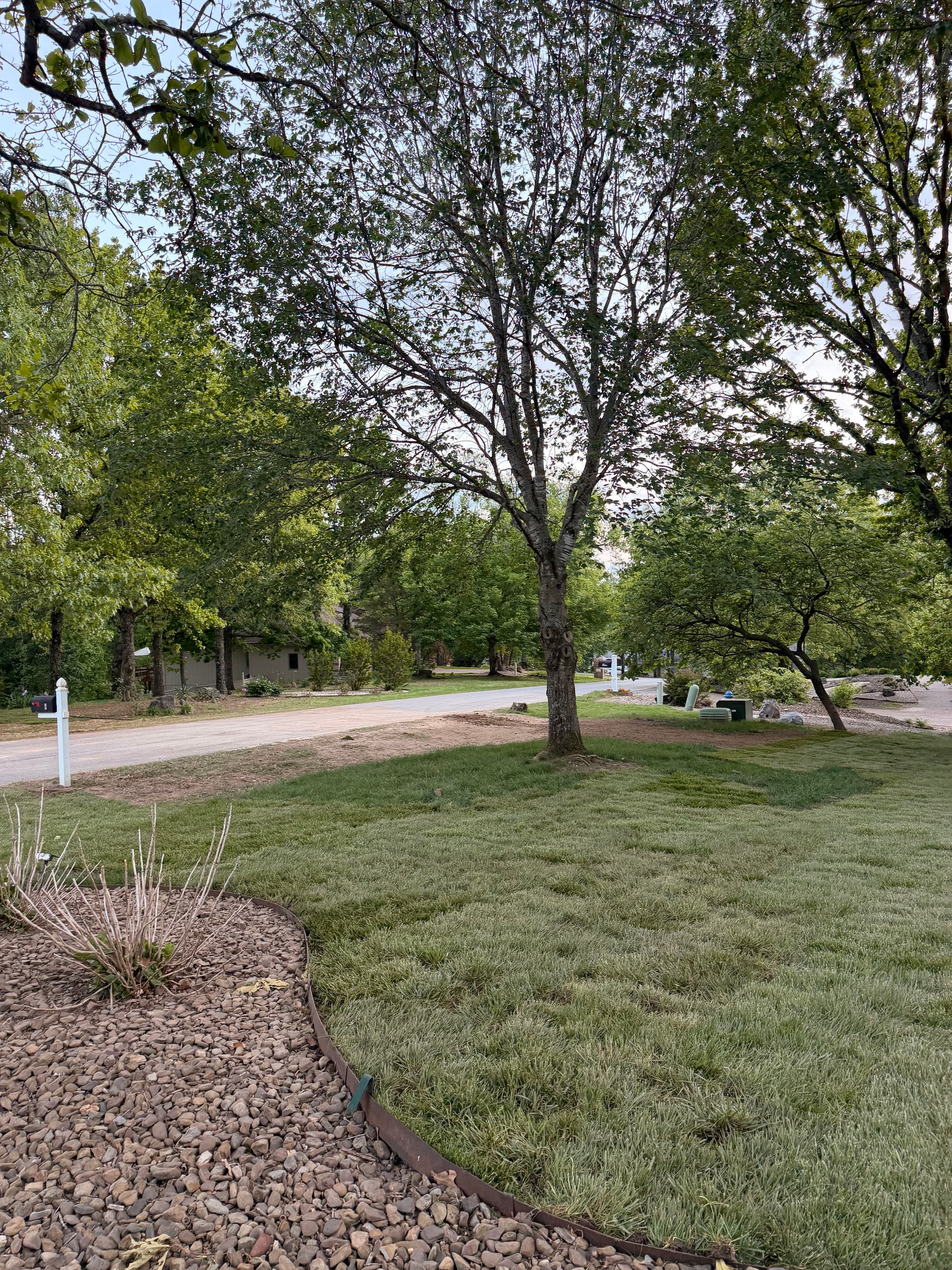 Gallery photos for Bare Dirt to Fresh Fescue Sod With Full Ground Prep: Image #7