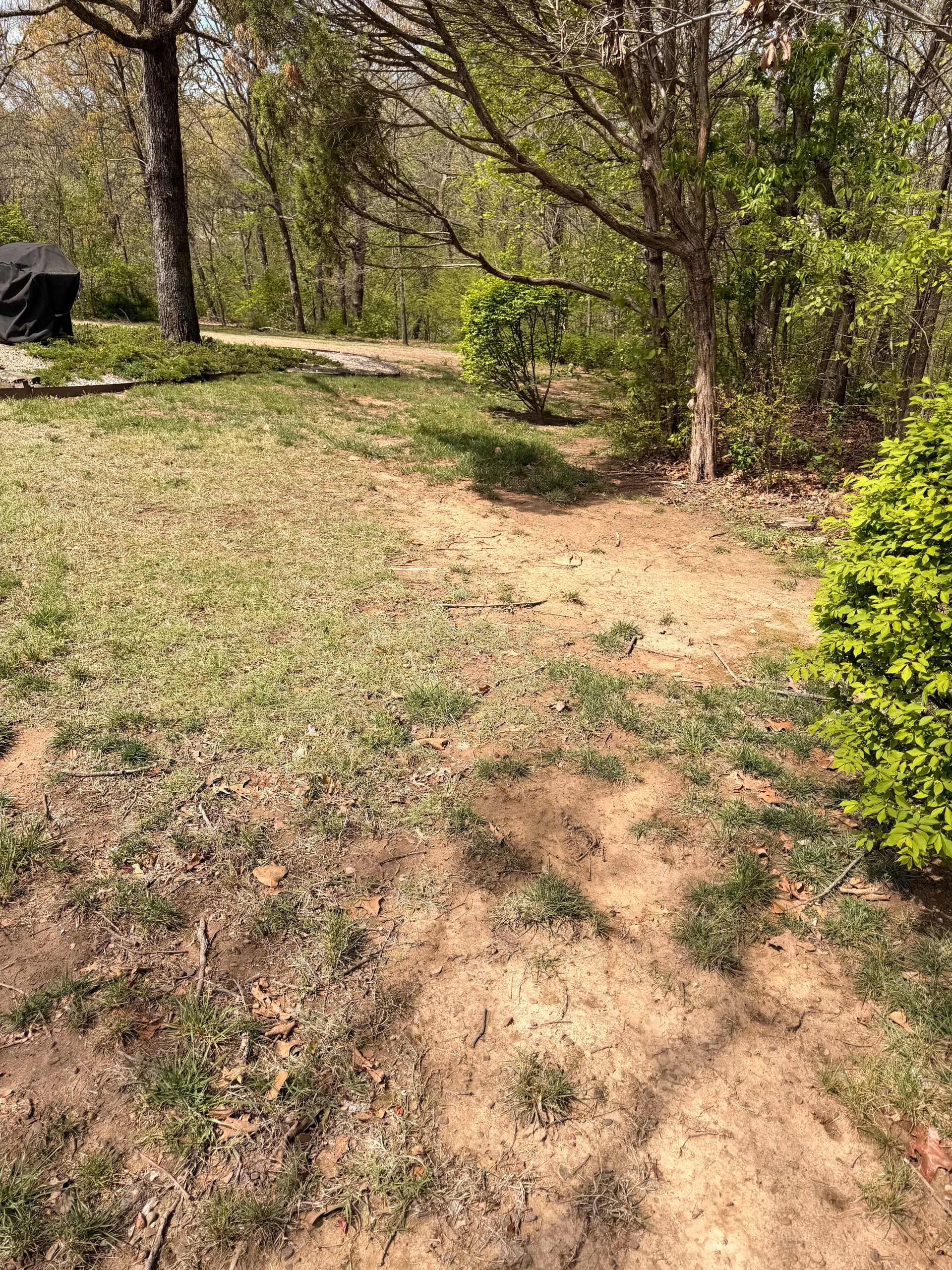 Gallery photos for 11 Pallets of Sod Laid Over Regraded Topsoil: Image #2