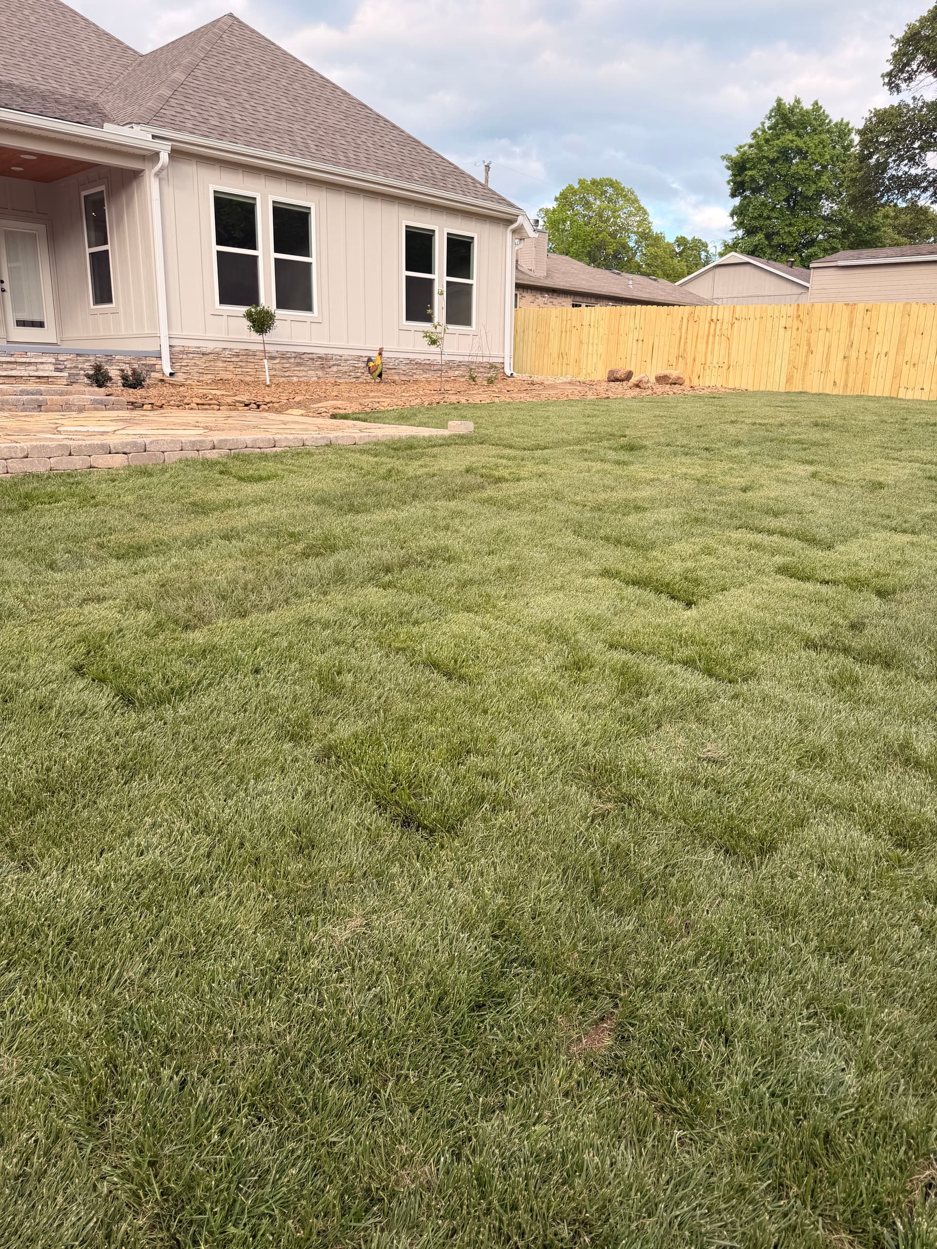 Gallery photos for Fresh-Cut Fescue Sod and Regrade Gives NWA Backyard a Real Fresh Start: Image #2