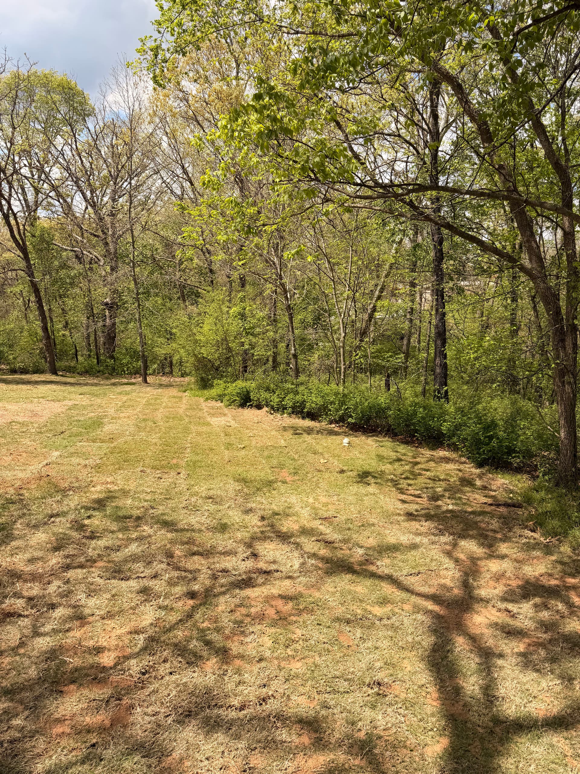 Gallery photos for 11 Pallets of Sod Laid Over Regraded Topsoil: Image #9