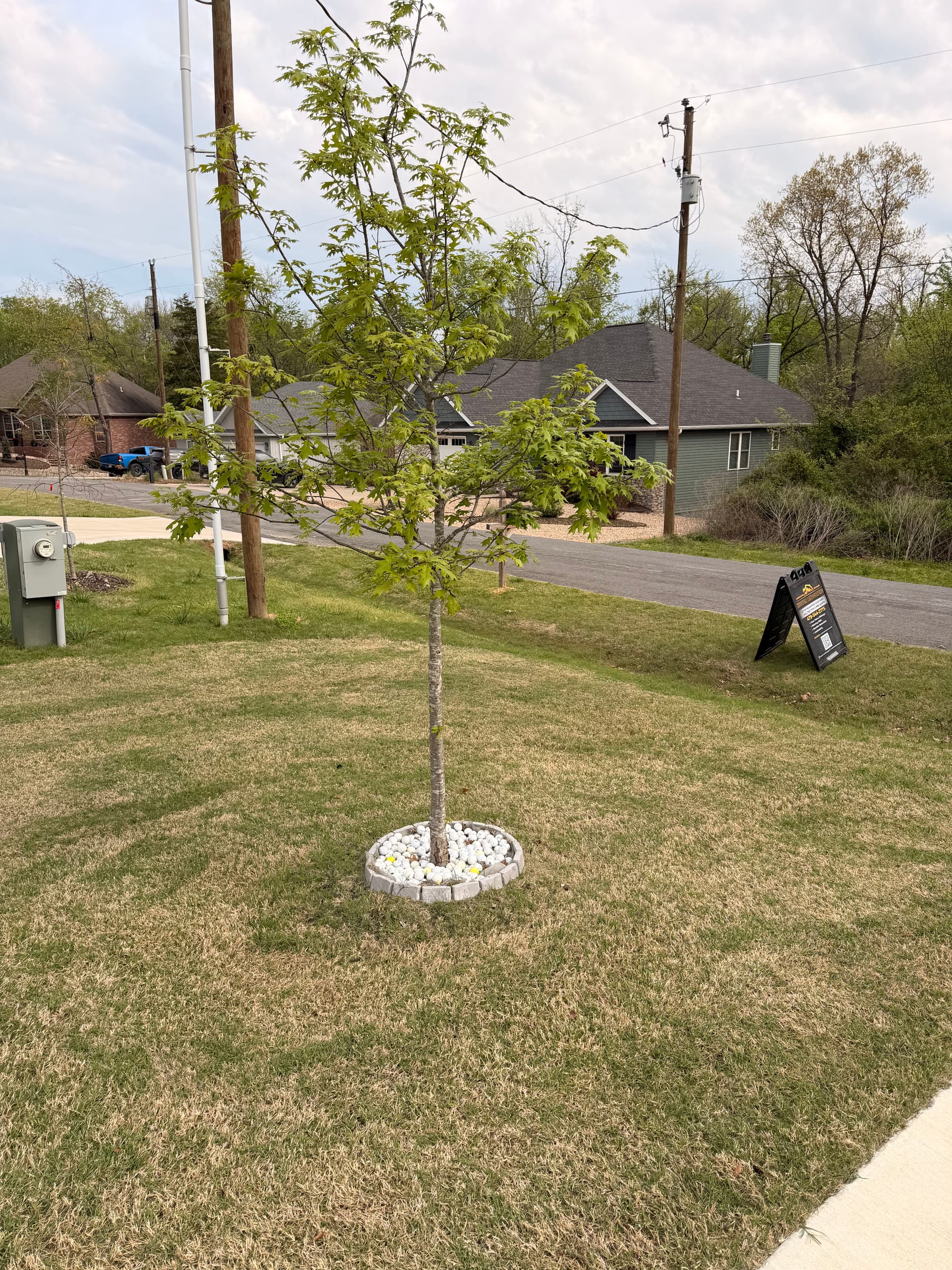 Gallery photos for Chocolate Rock and Fresh Plants Give This Home Serious Curb Appeal: Image #4