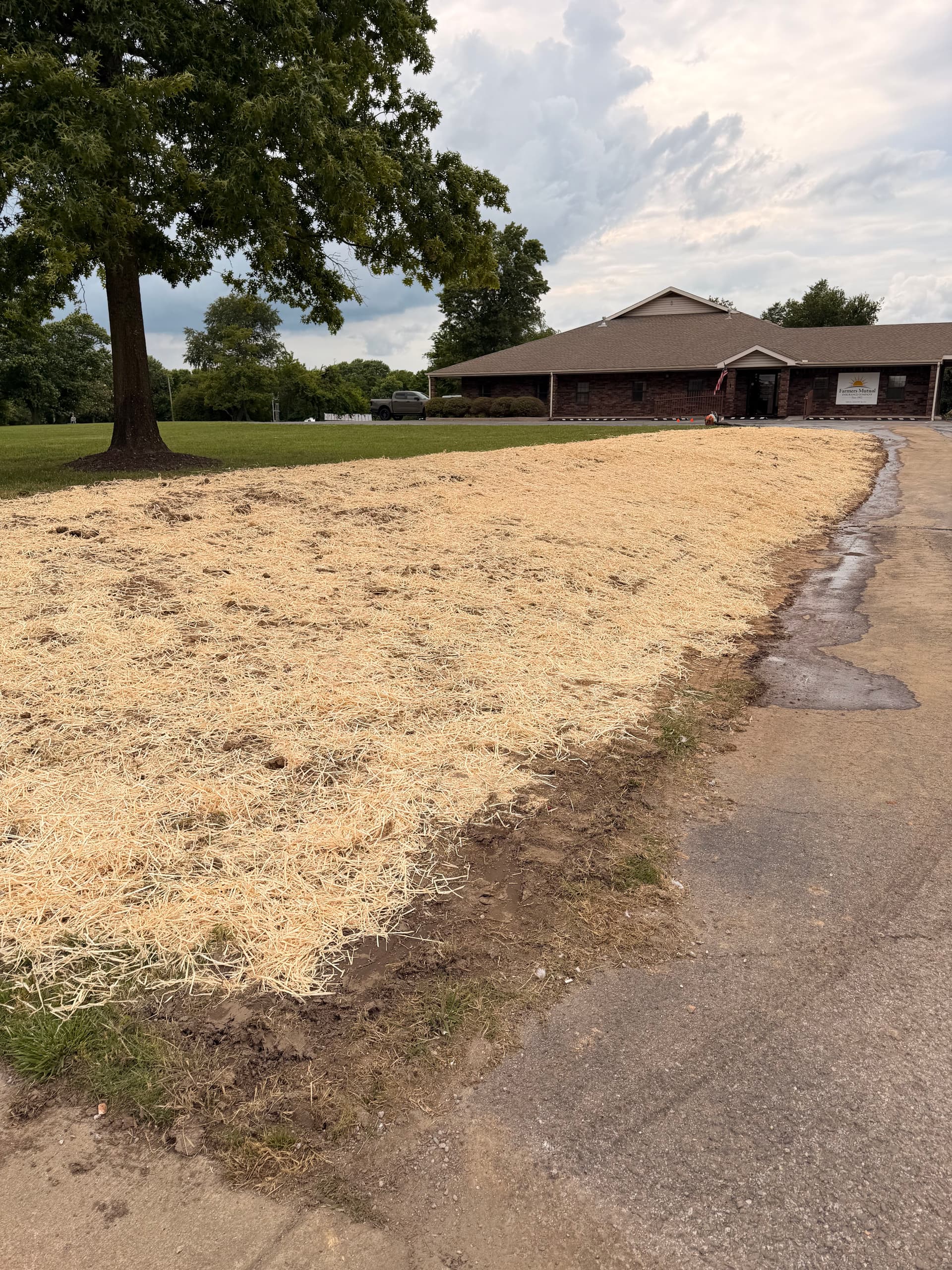 Gallery photos for Old Retaining Walls Out, Fresh Grade and Grass Seed In: Image #3