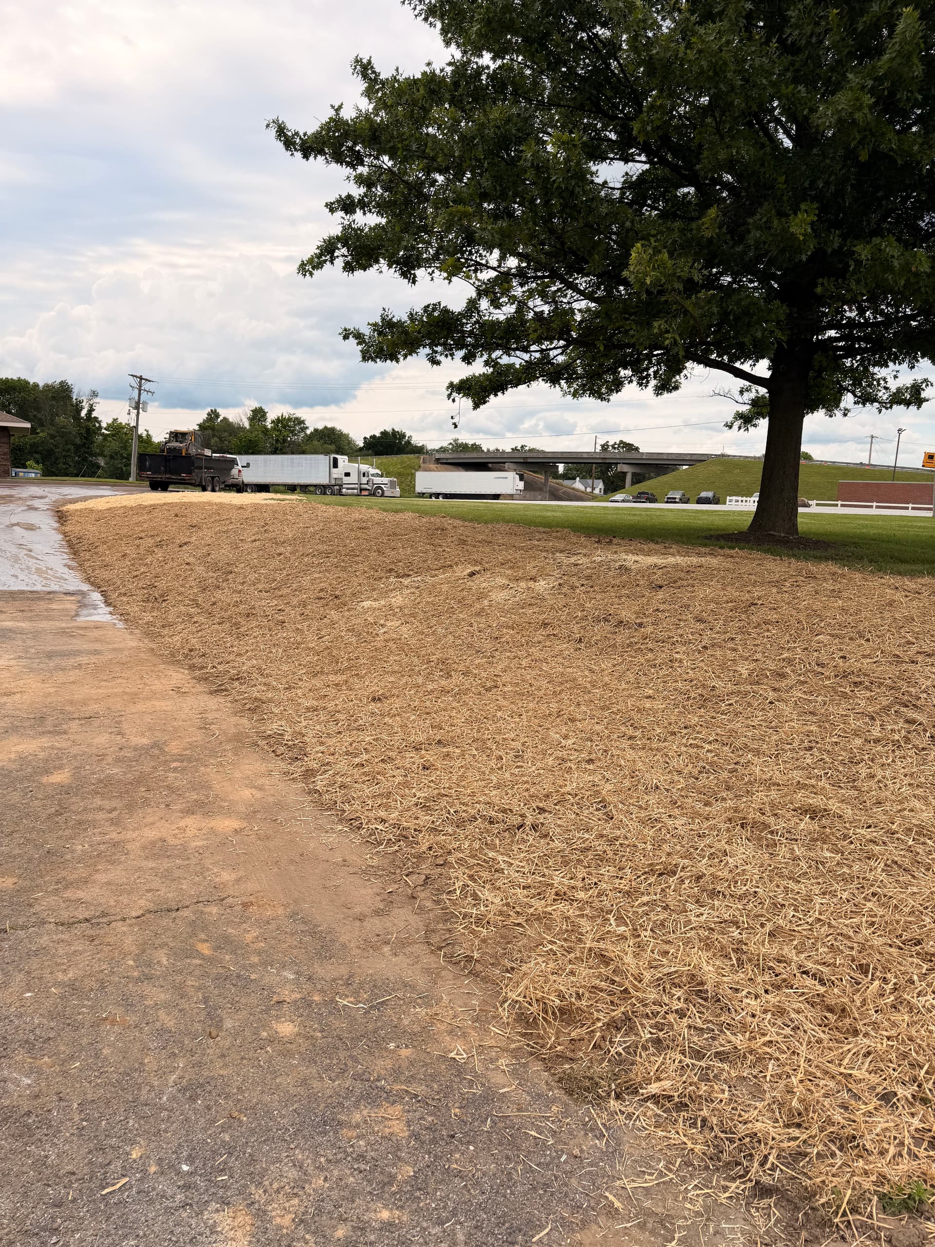 Gallery photos for Old Retaining Walls Out, Fresh Grade and Grass Seed In: Image #2