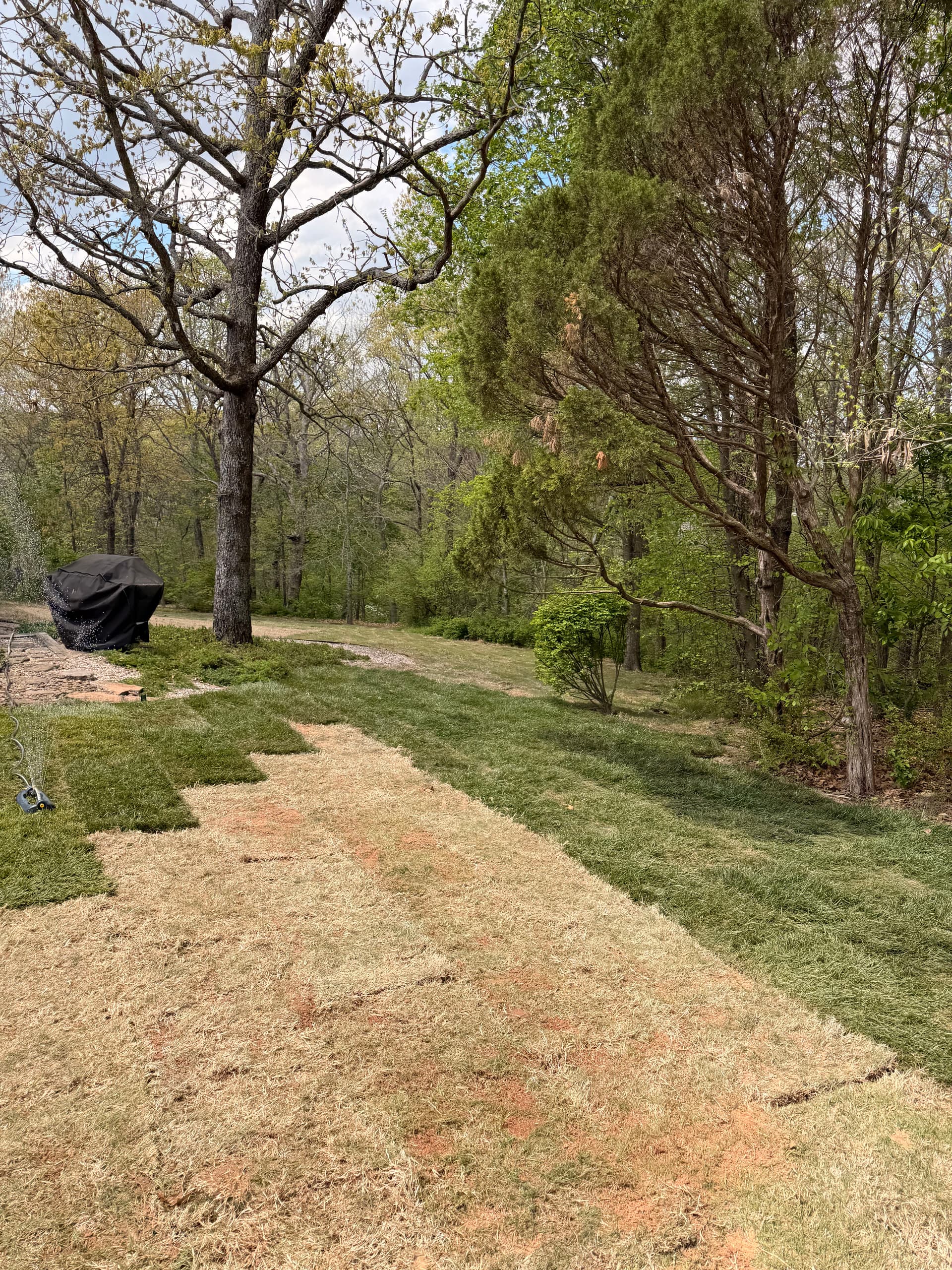 Gallery photos for 11 Pallets of Sod Laid Over Regraded Topsoil: Image #7