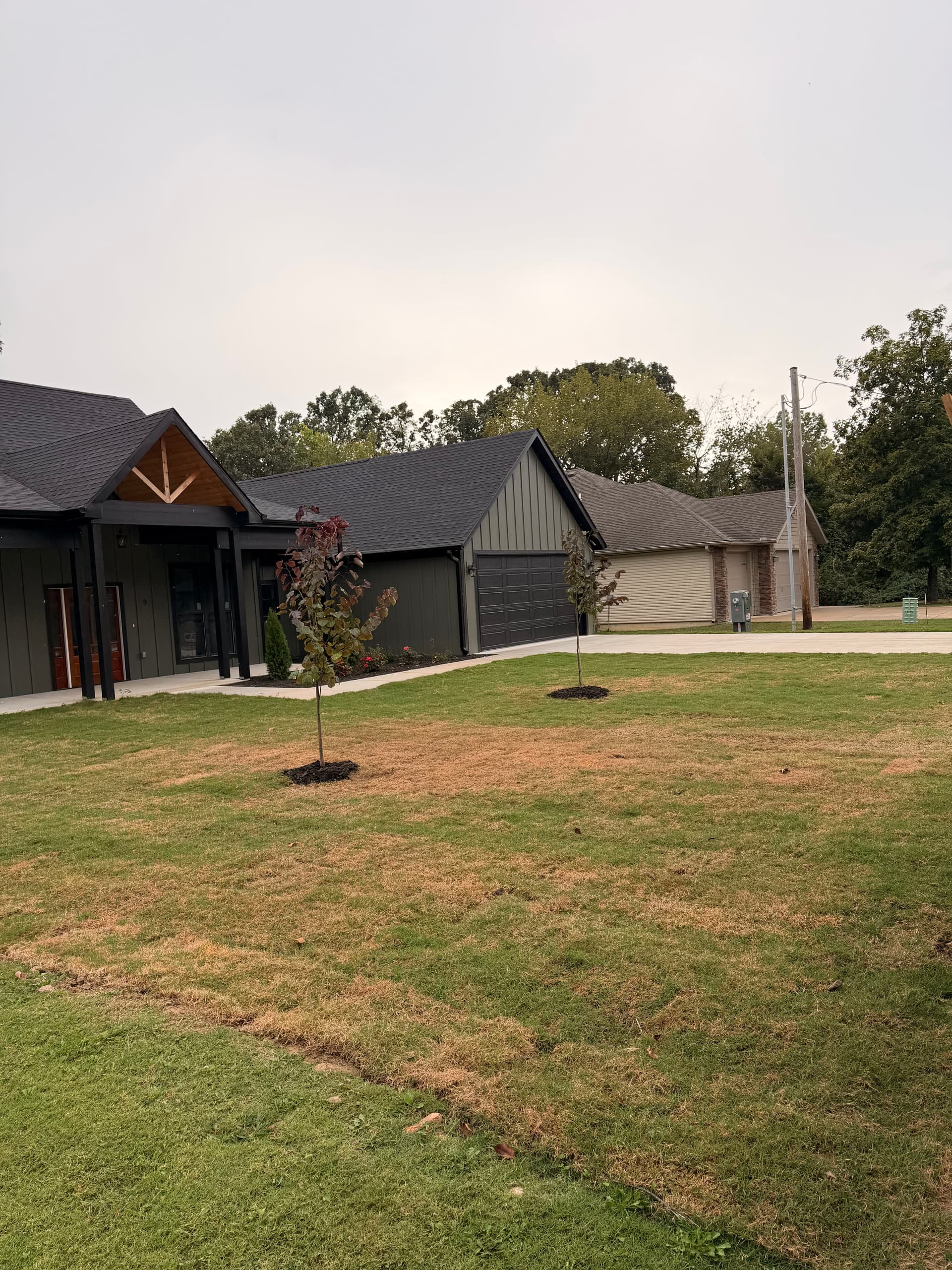 Gallery photos for Lawn Makeover with Sod Installation and Mulch Enhancement: Image #1