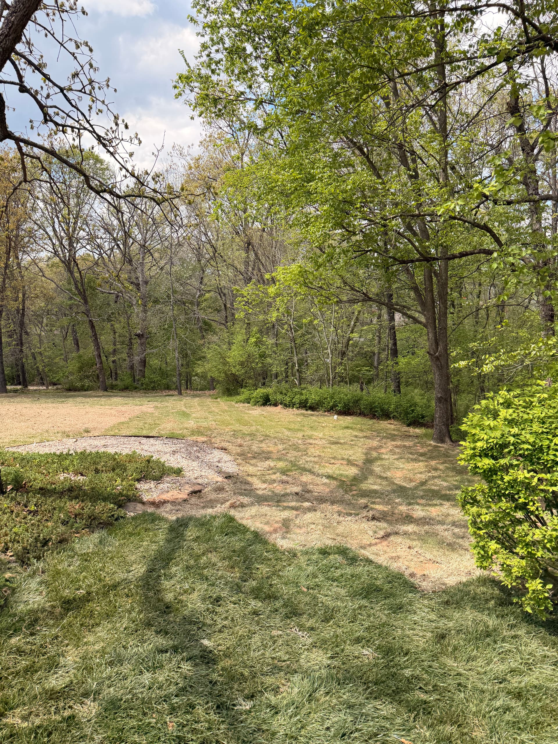 Gallery photos for 11 Pallets of Sod Laid Over Regraded Topsoil: Image #8