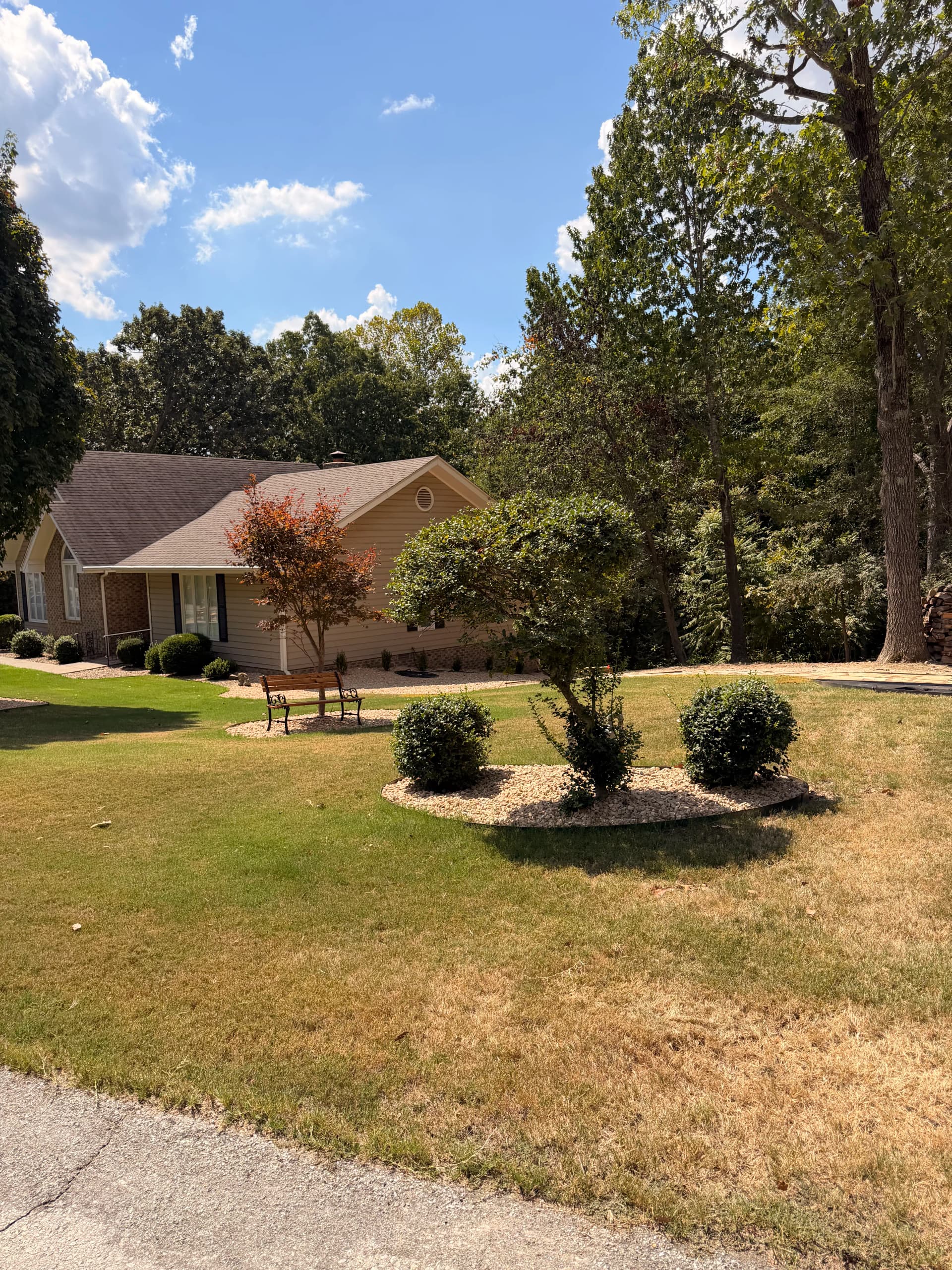 Gallery photos for Flagstone Path, Fire Pit, and Full Yard Overhaul Done Right: Image #7