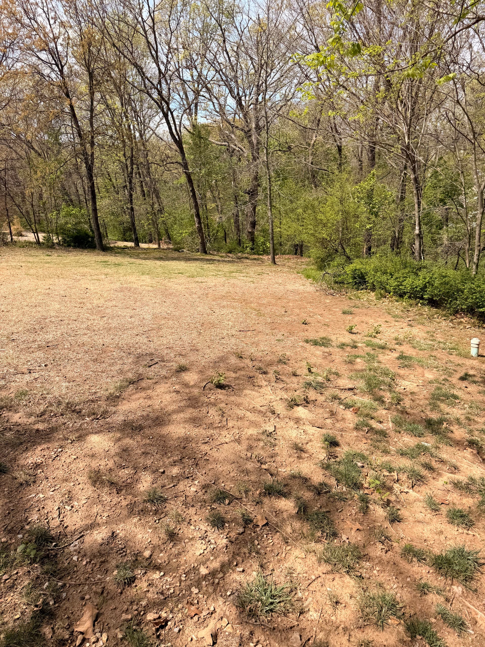 Gallery photos for 11 Pallets of Sod Laid Over Regraded Topsoil: Image #4
