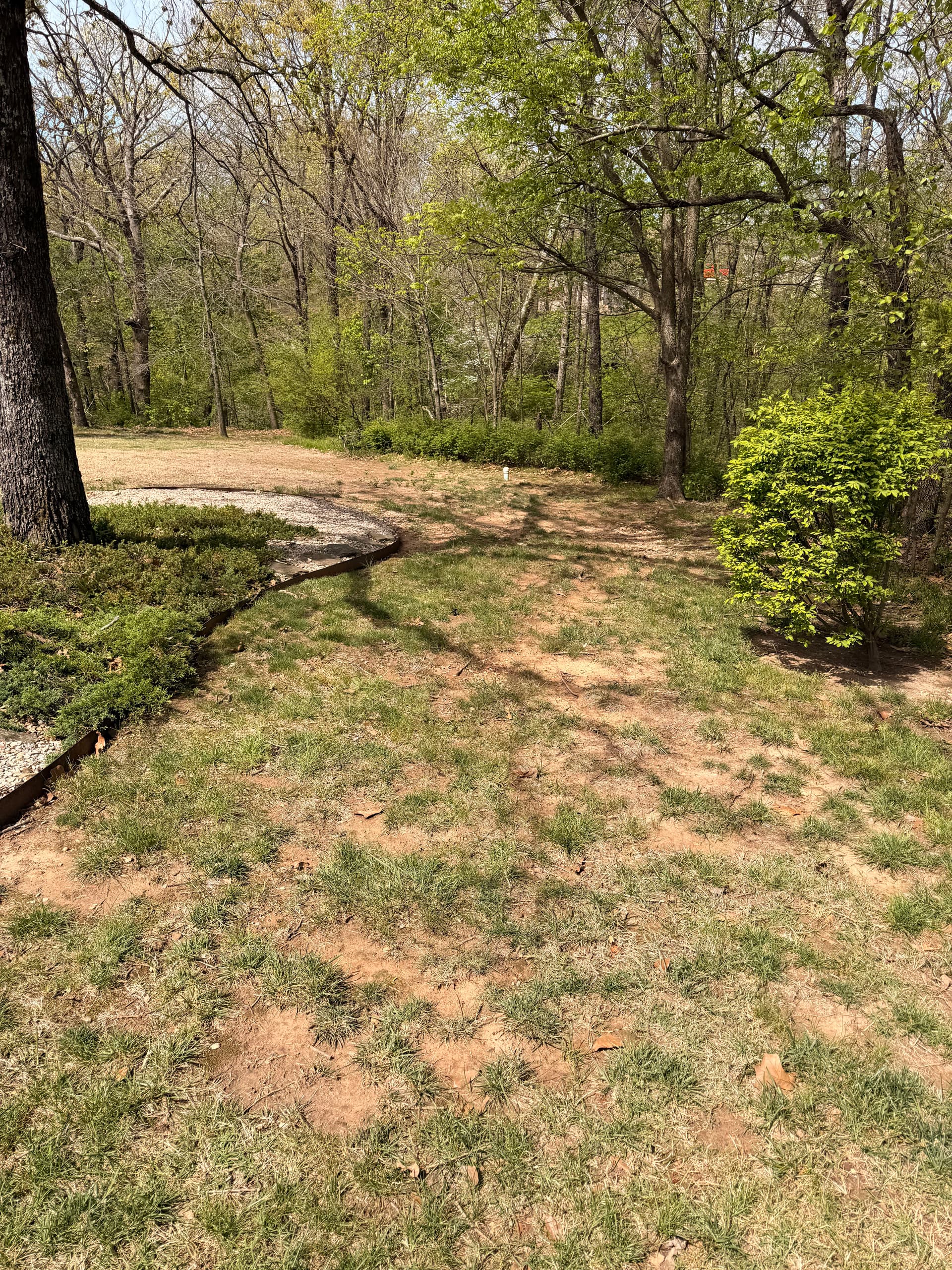 Gallery photos for 11 Pallets of Sod Laid Over Regraded Topsoil: Image #3